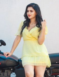 Gurdaspur call girls